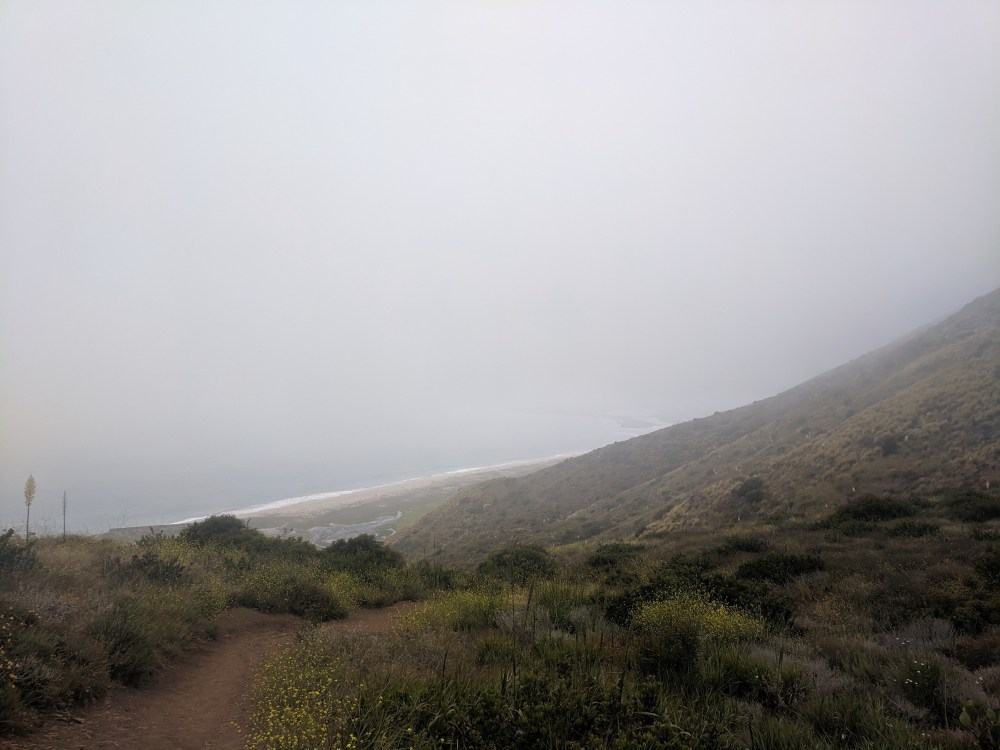 IMG_20190531_145611_resized