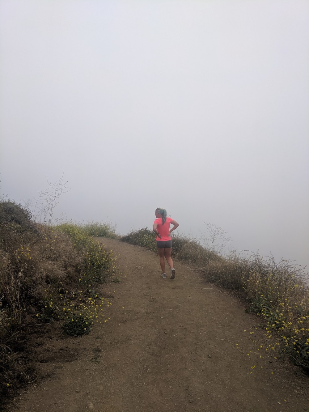 IMG_20190531_150530_resized