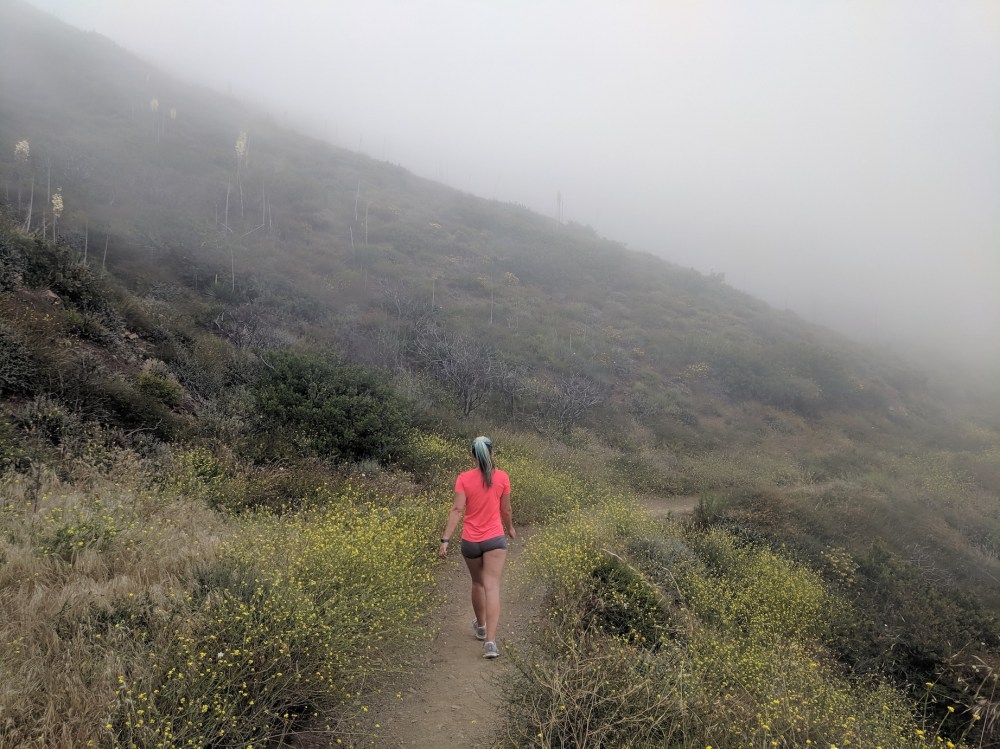 IMG_20190531_150644_resized