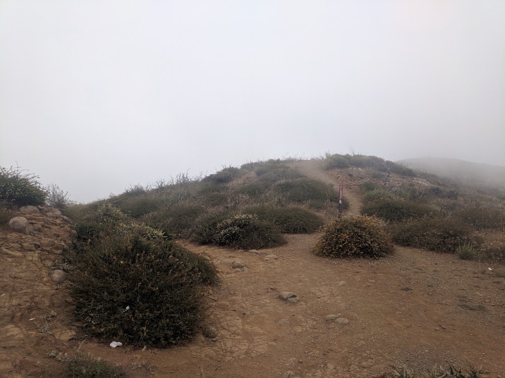 IMG_20190531_151123_resized