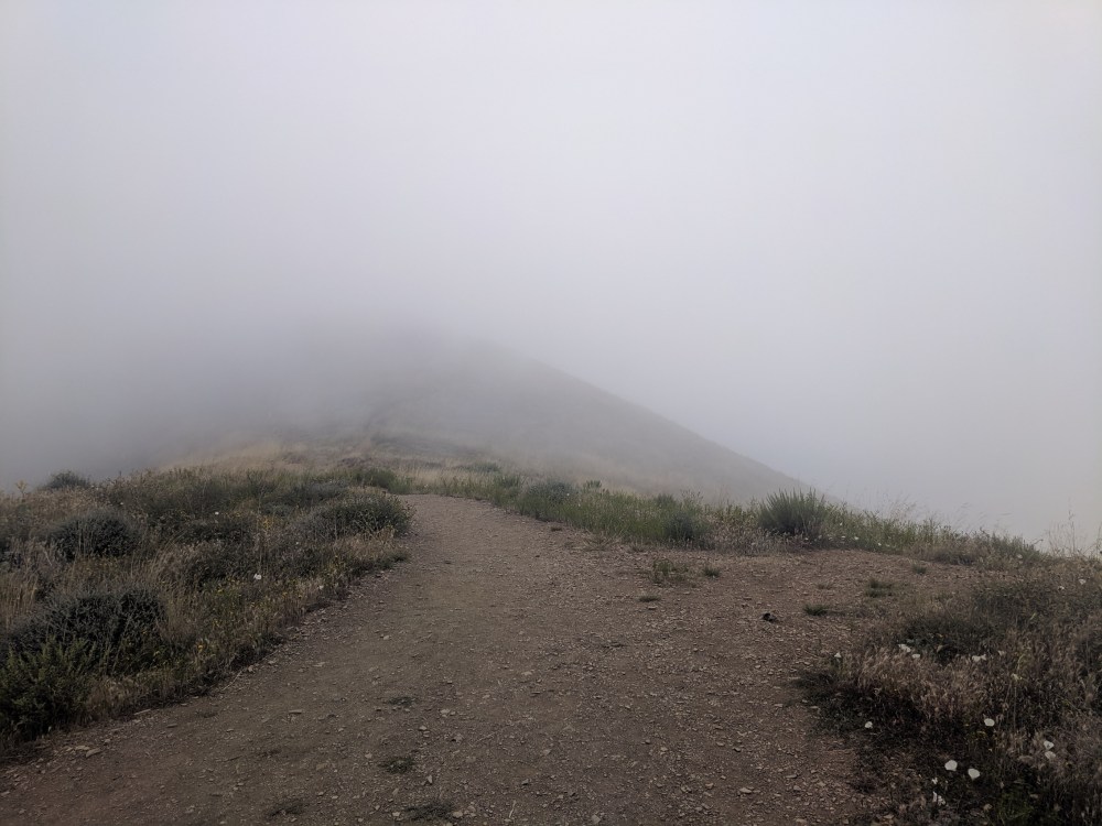 IMG_20190531_152346_resized