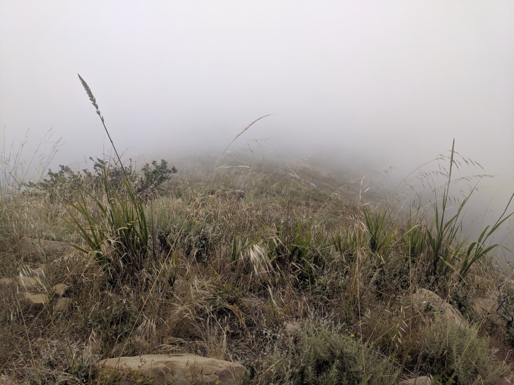 IMG_20190531_152754_resized