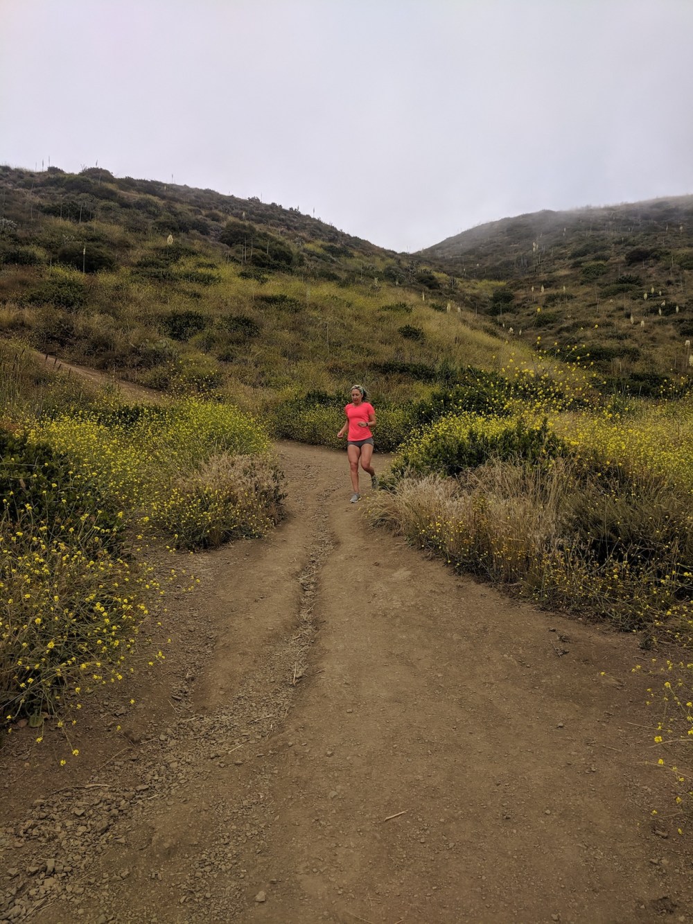 IMG_20190531_154403_resized