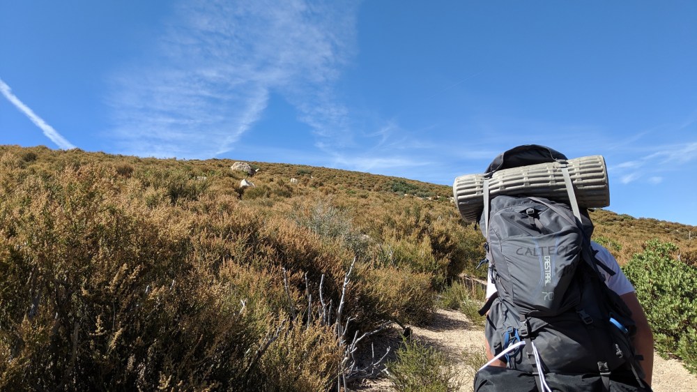 IMG_20190817_152752_resized