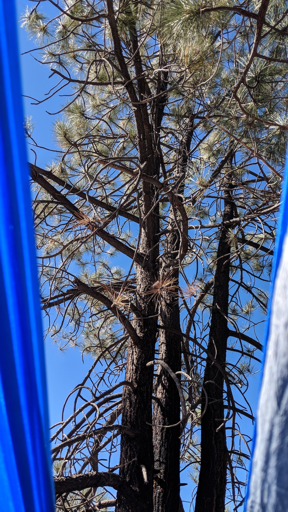 IMG_20190817_163126_resized