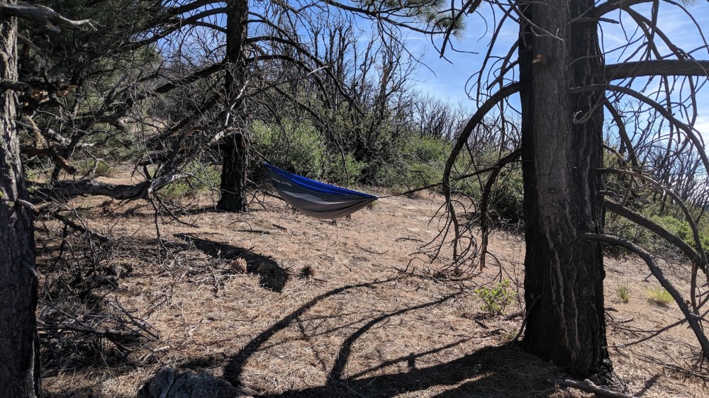 IMG_20190817_163332_resized