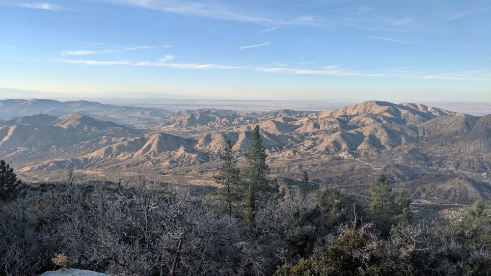 IMG_20190817_184138_resized