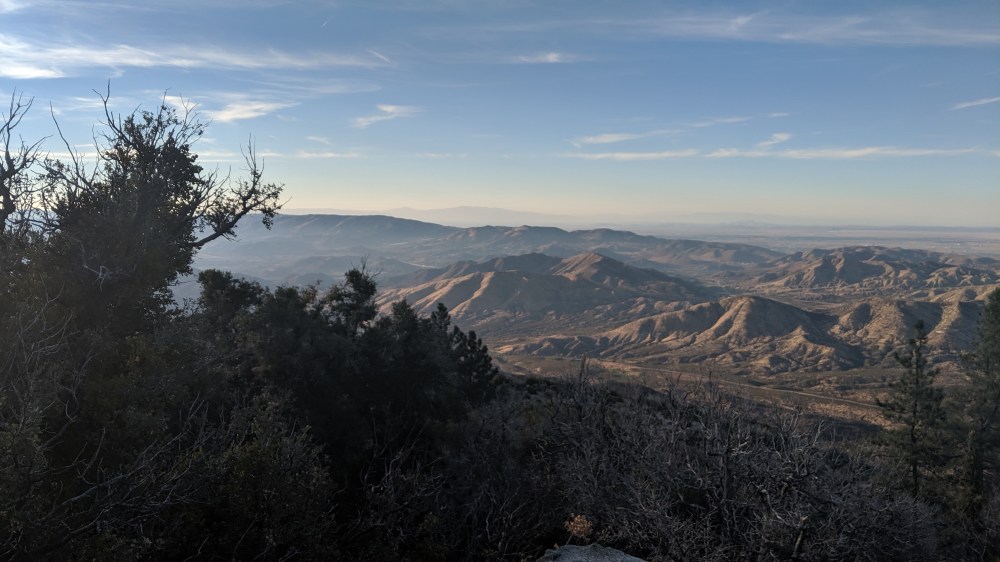 IMG_20190817_184143_resized