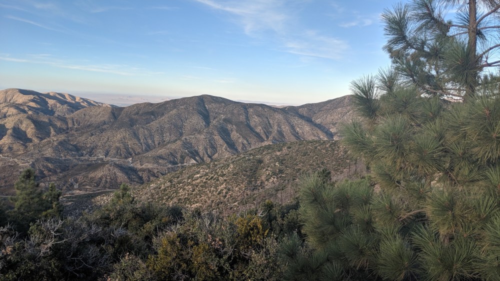 IMG_20190817_184149_resized