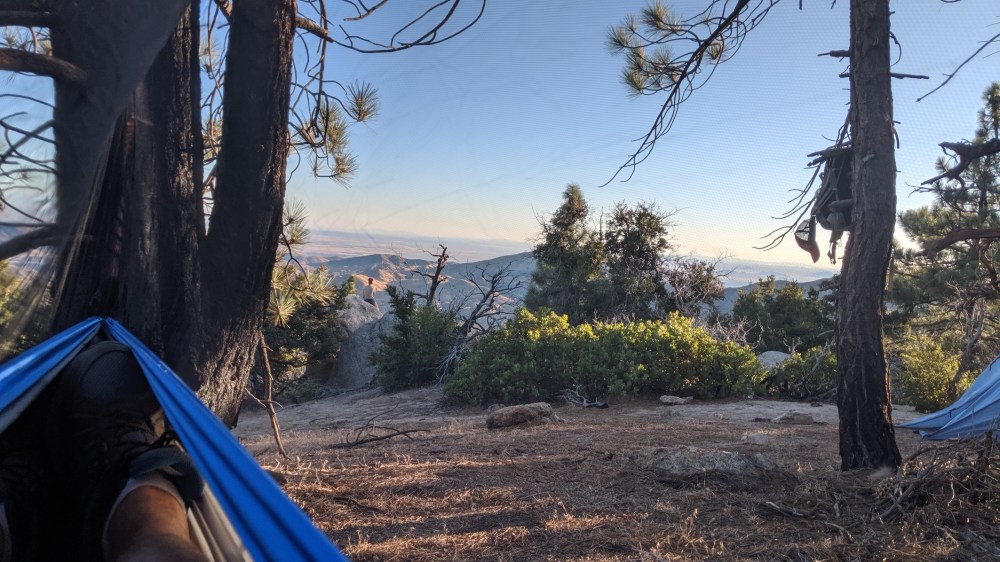 IMG_20190818_070541_resized