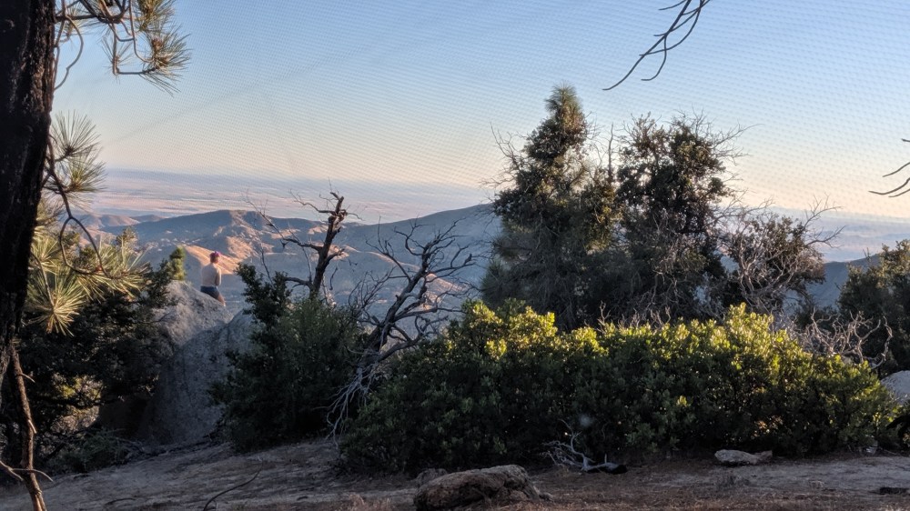 IMG_20190818_070603_resized