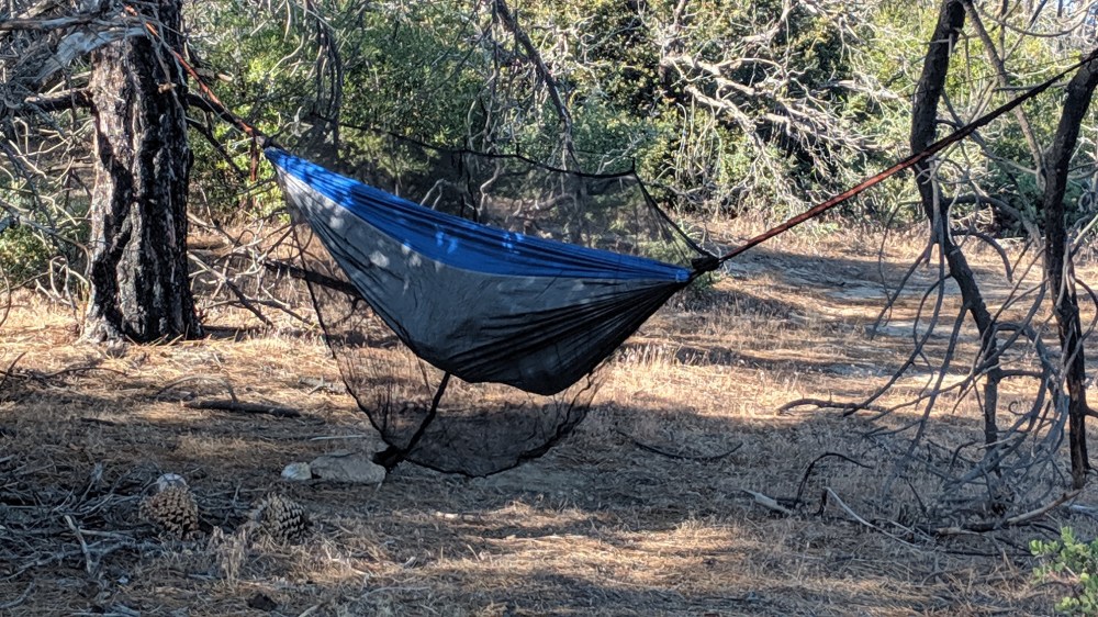 IMG_20190818_082007_resized