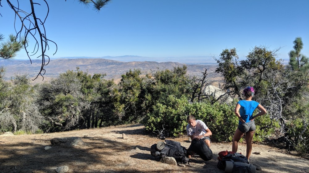 IMG_20190818_085318_resized