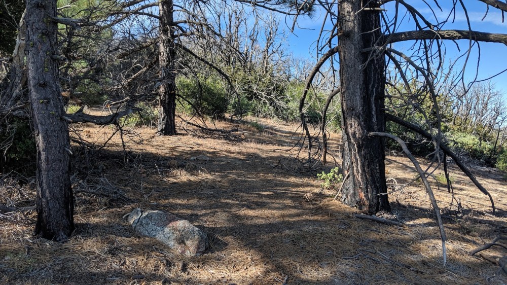 IMG_20190818_085506_resized