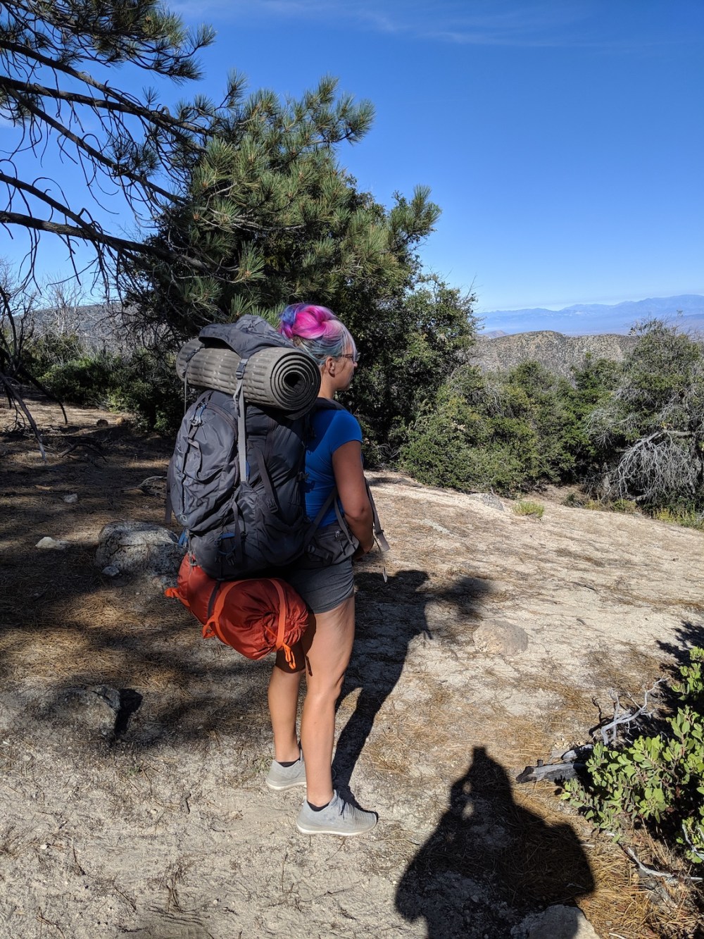 IMG_20190818_085640_resized