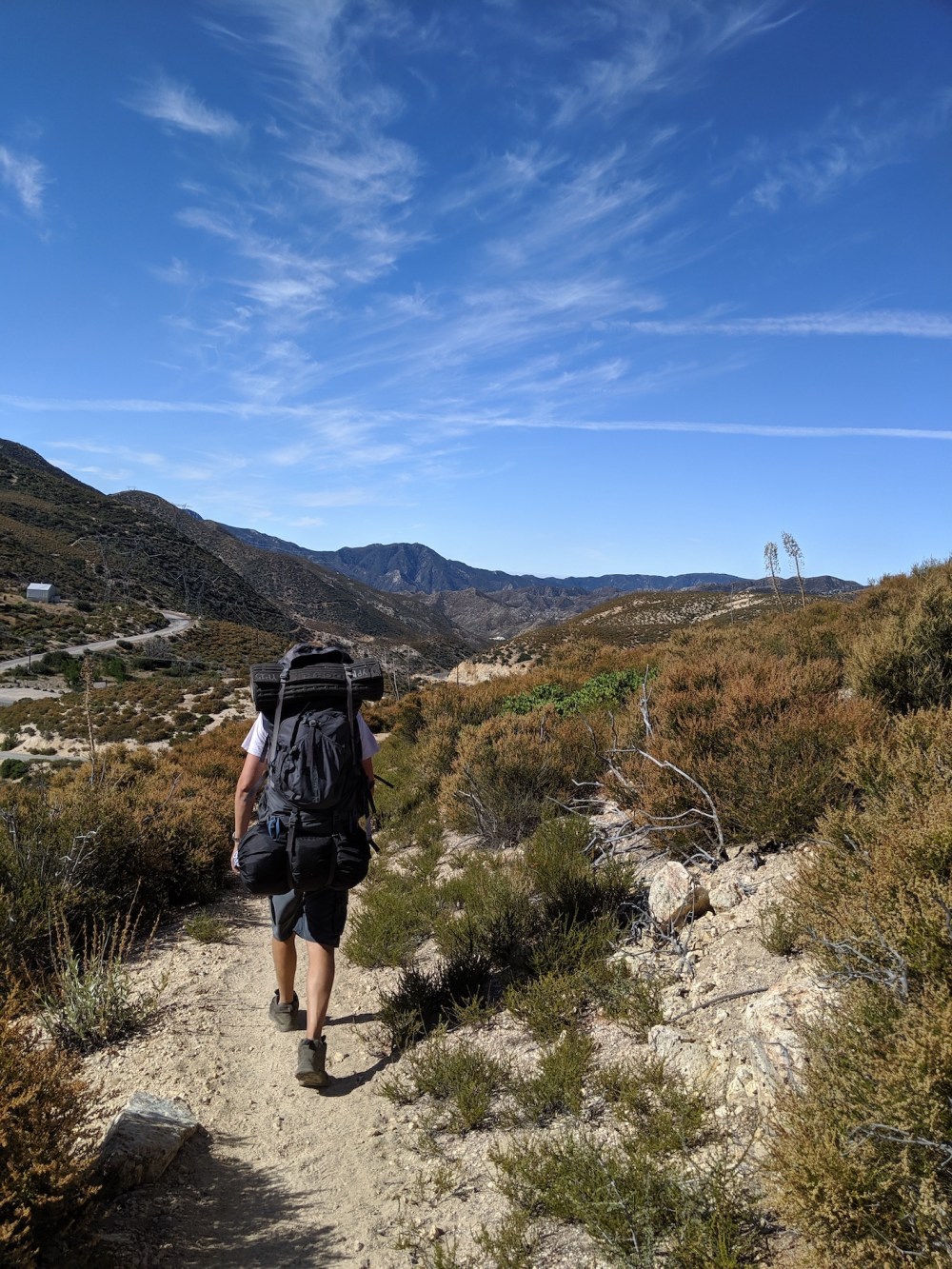 IMG_20190818_093255_resized