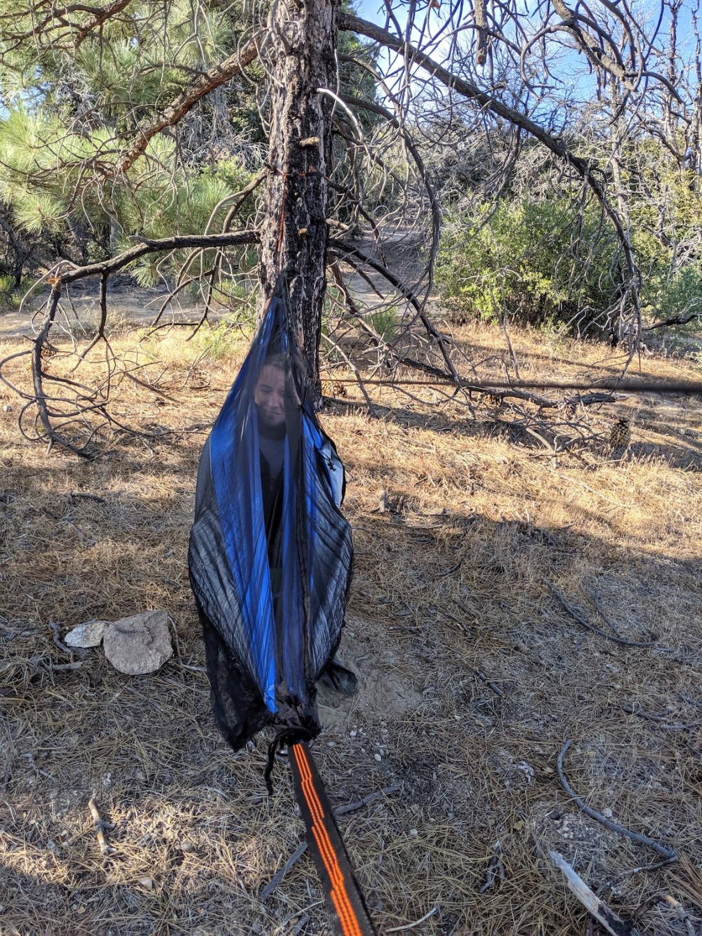 MVIMG_20190818_082255_resized