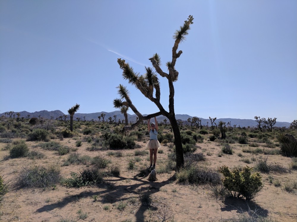 Emily in a girly skirt with a Joshua tree